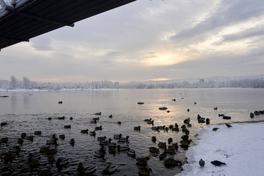 Similar image 21206141