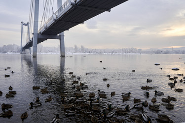 Similar image 21206142