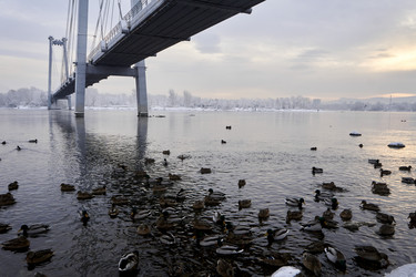 Similar image 21206143