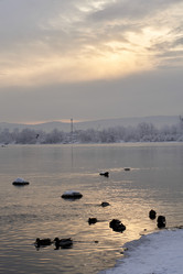 Similar image 21206144