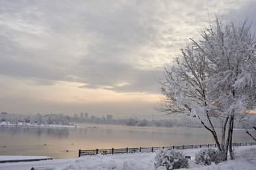 Similar image 21206162