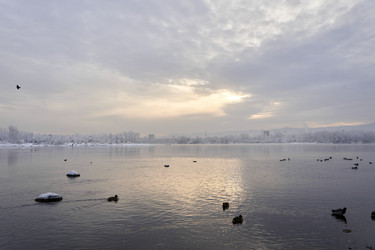 Similar image 21206166