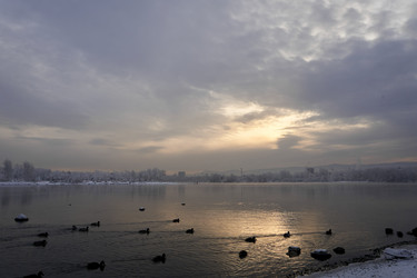 Similar image 21206170