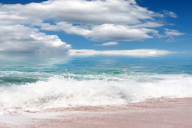 Similar image 21224503