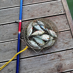 Similar image 21206446