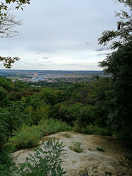 Similar image 21206448