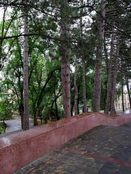 Similar image 21206450