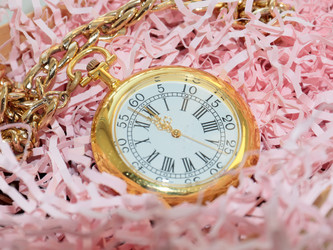 Similar image 21219908