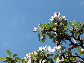 Similar image 21224505