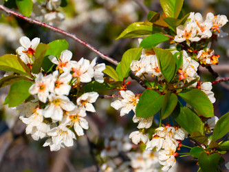 Similar image 21224508