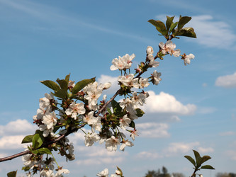 Similar image 21224509