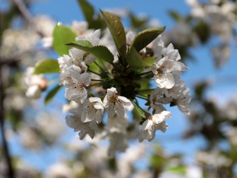 Similar image 21224510