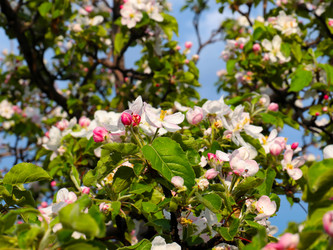 Similar image 21224512