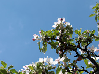 Similar image 21224513