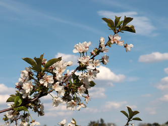 Similar image 21224515