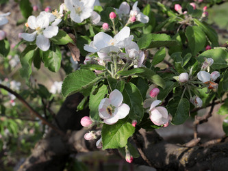 Similar image 21234609