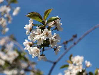 Similar image 21234610