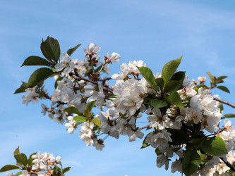 Similar image 21234612