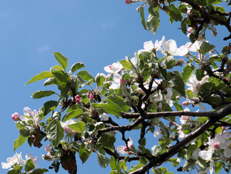 Similar image 21205399