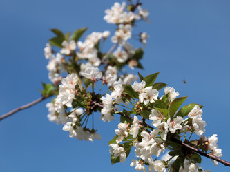 Similar image 21234615