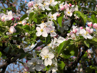 Similar image 21234616