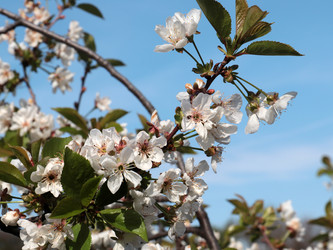 Similar image 21234617