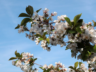 Similar image 21234649