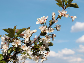 Similar image 21234651