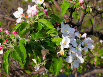 Similar image 21234652