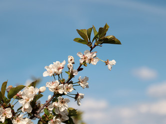 Similar image 21234653