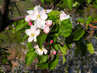 Similar image 21234654