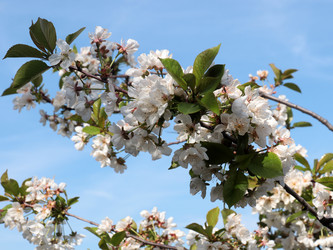 Similar image 21234655