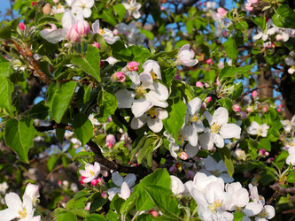 Similar image 21234656