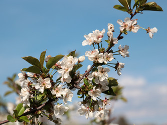 Similar image 21234657