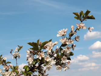 Similar image 21236784