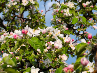 Similar image 21236785