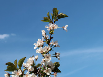 Similar image 21236786