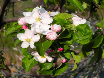 Similar image 21236788