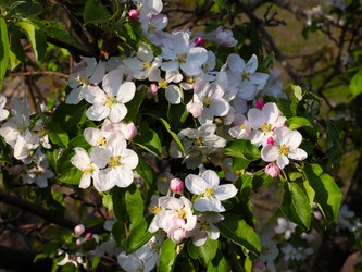 Similar image 21249387