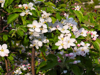 Similar image 21249388