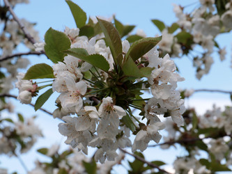 Similar image 21249389