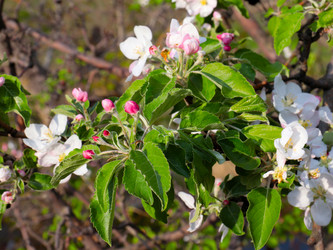 Similar image 21249390