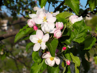 Similar image 21249391