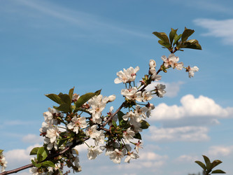 Similar image 21208187