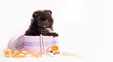 Similar image 21209173