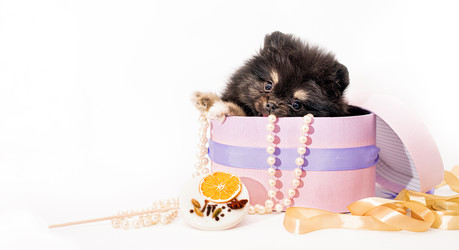 Similar image 21209174