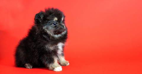 Similar image 21207924