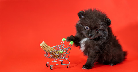 Similar image 21207928