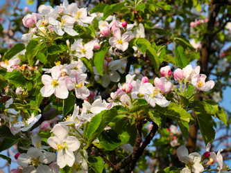 Similar image 21249154