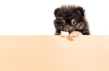 Similar image 21209252